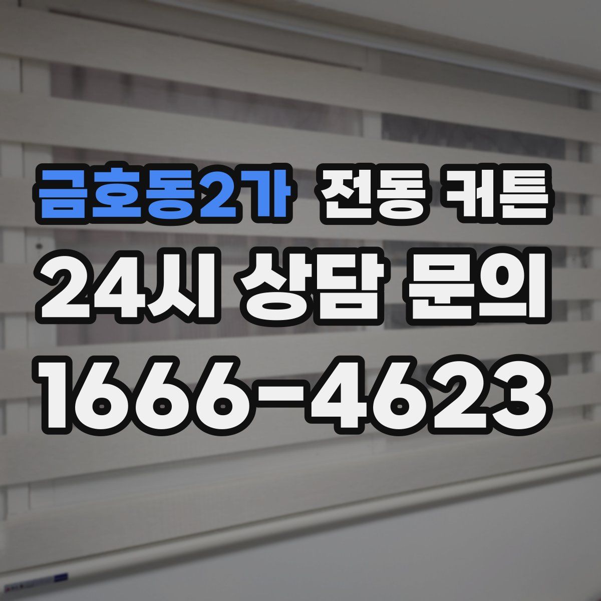 금호동2가 전동 커튼
