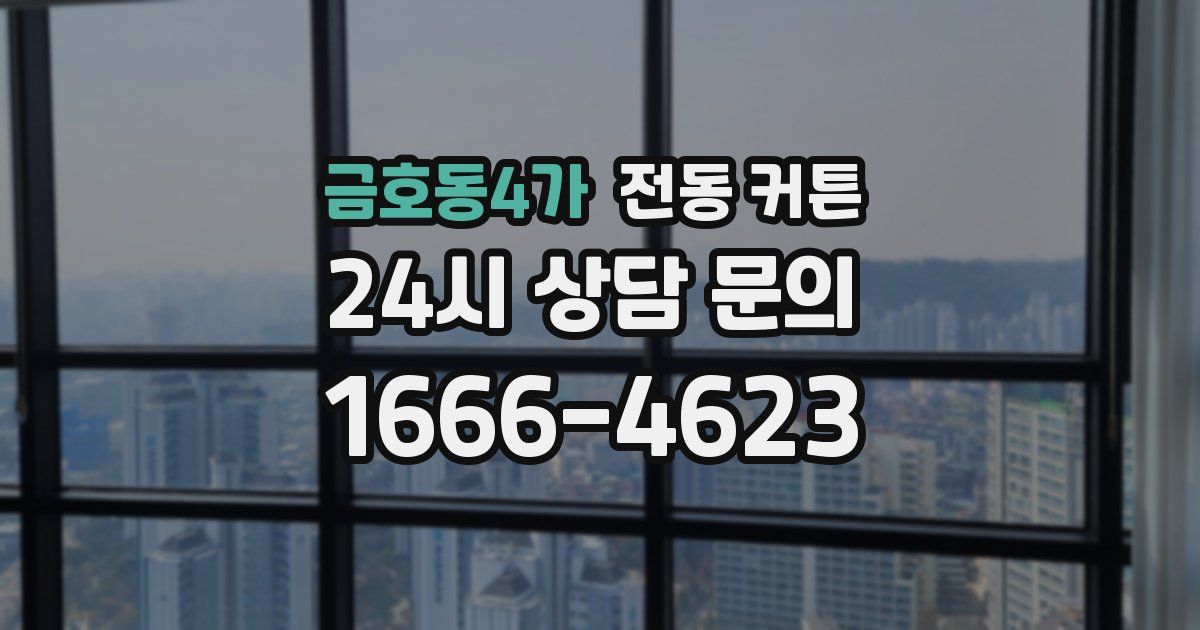 금호동4가 전동 커튼
