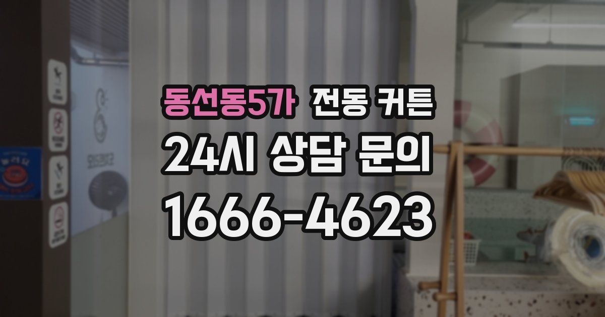 동선동5가 전동 커튼
