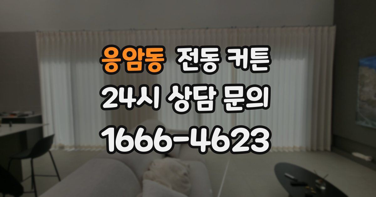 응암동 전동 커튼