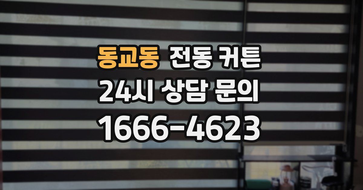 동교동 전동 커튼