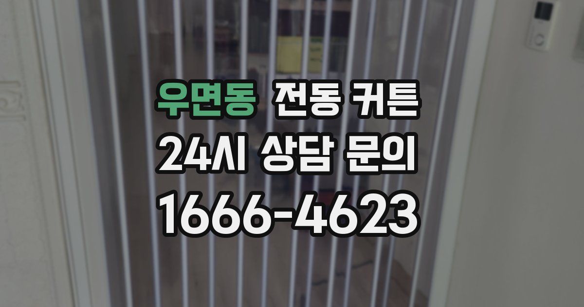 우면동 전동 커튼