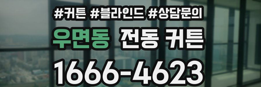 우면동 전동 커튼