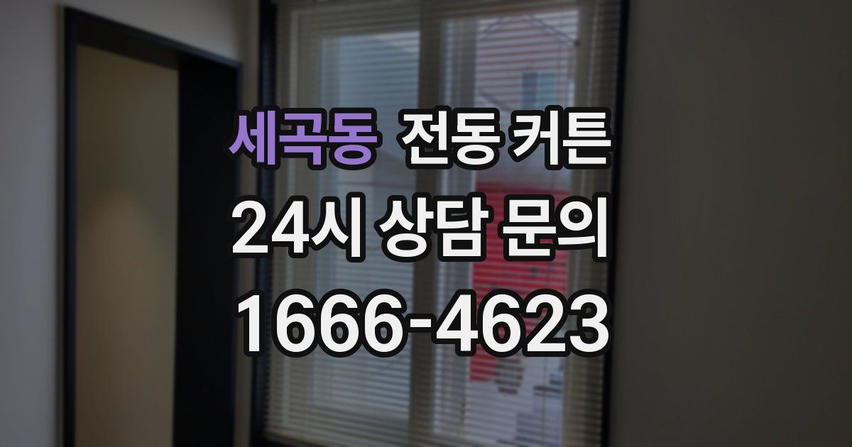 세곡동 전동 커튼