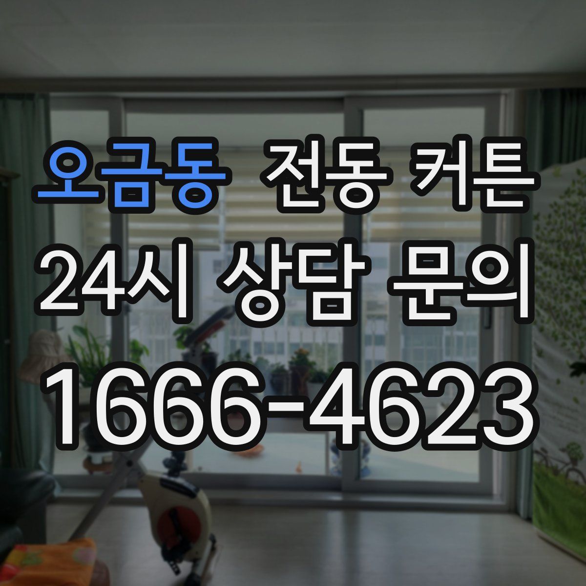 오금동 전동 커튼