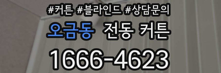 오금동 전동 커튼