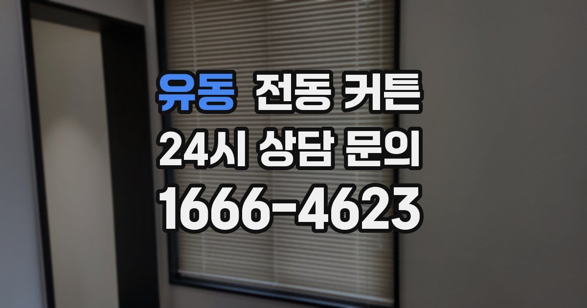유동 전동 커튼