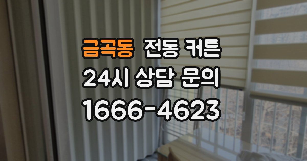 금곡동 전동 커튼