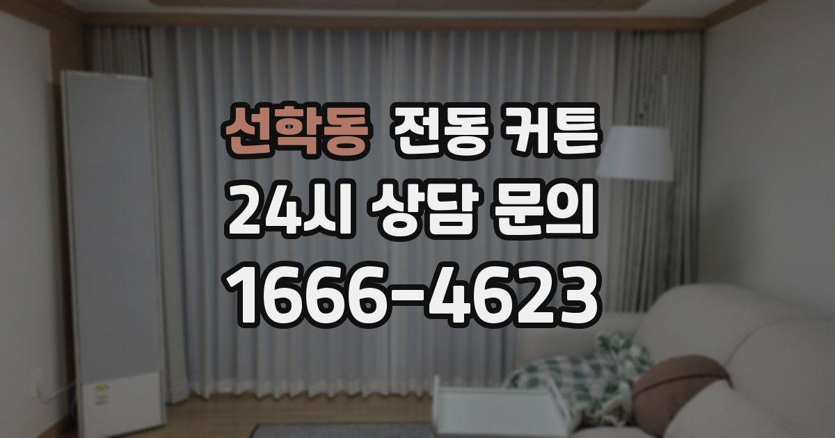 선학동 전동 커튼
