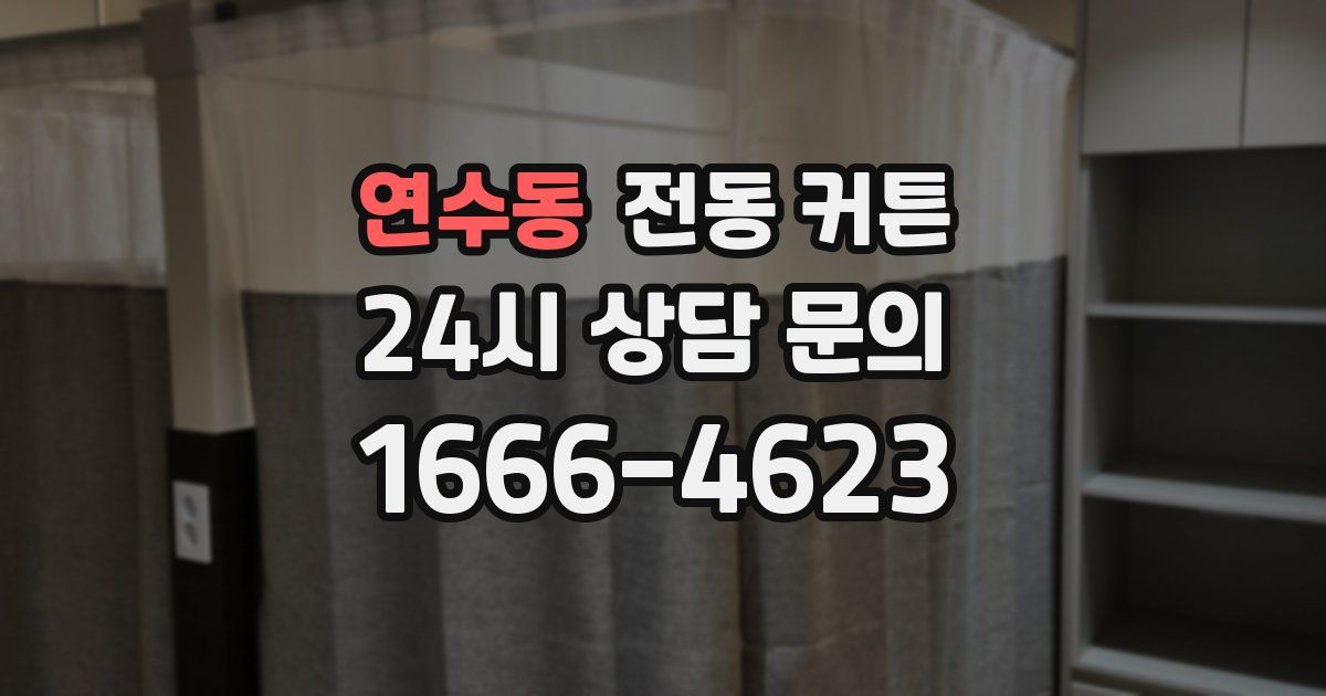 연수동 전동 커튼