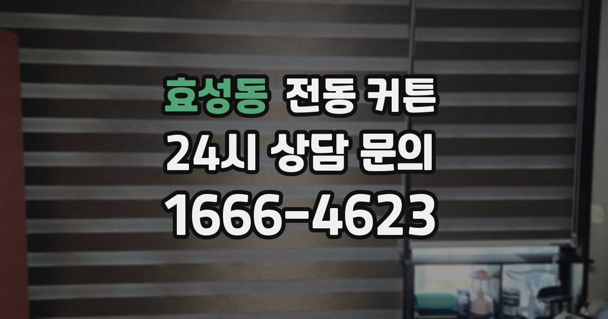 효성동 전동 커튼