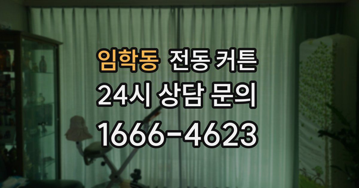 임학동 전동 커튼
