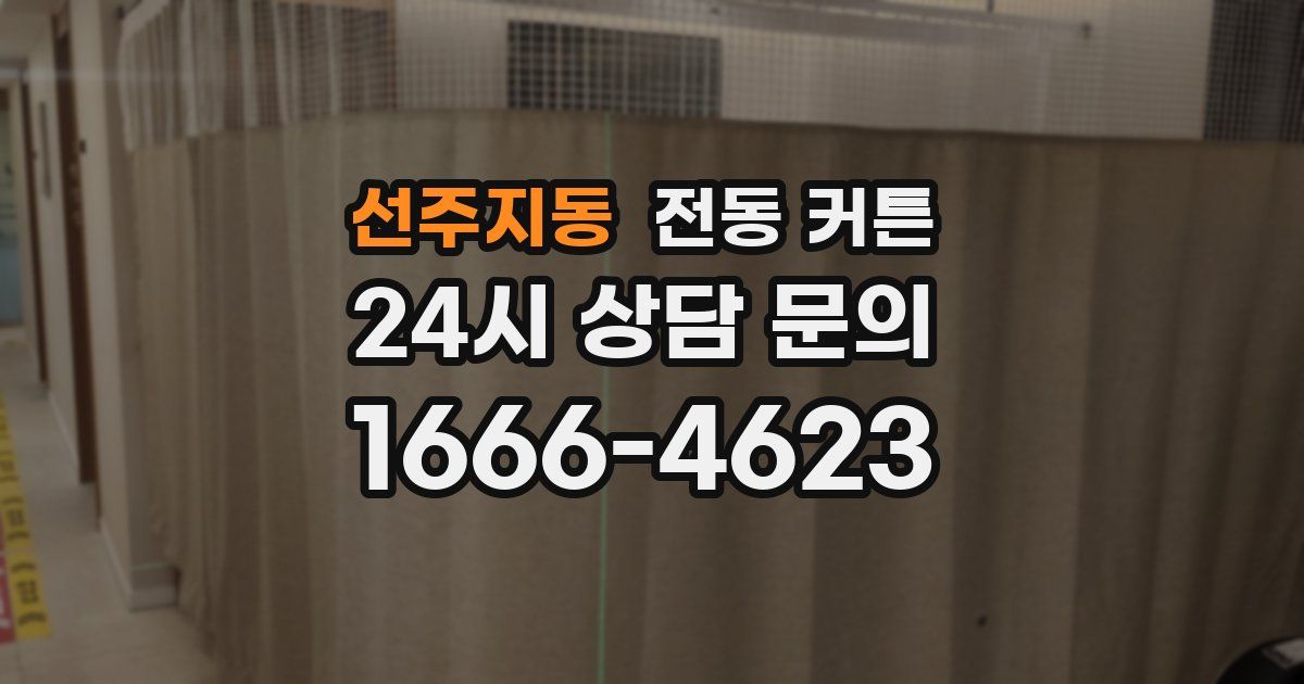선주지동 전동 커튼