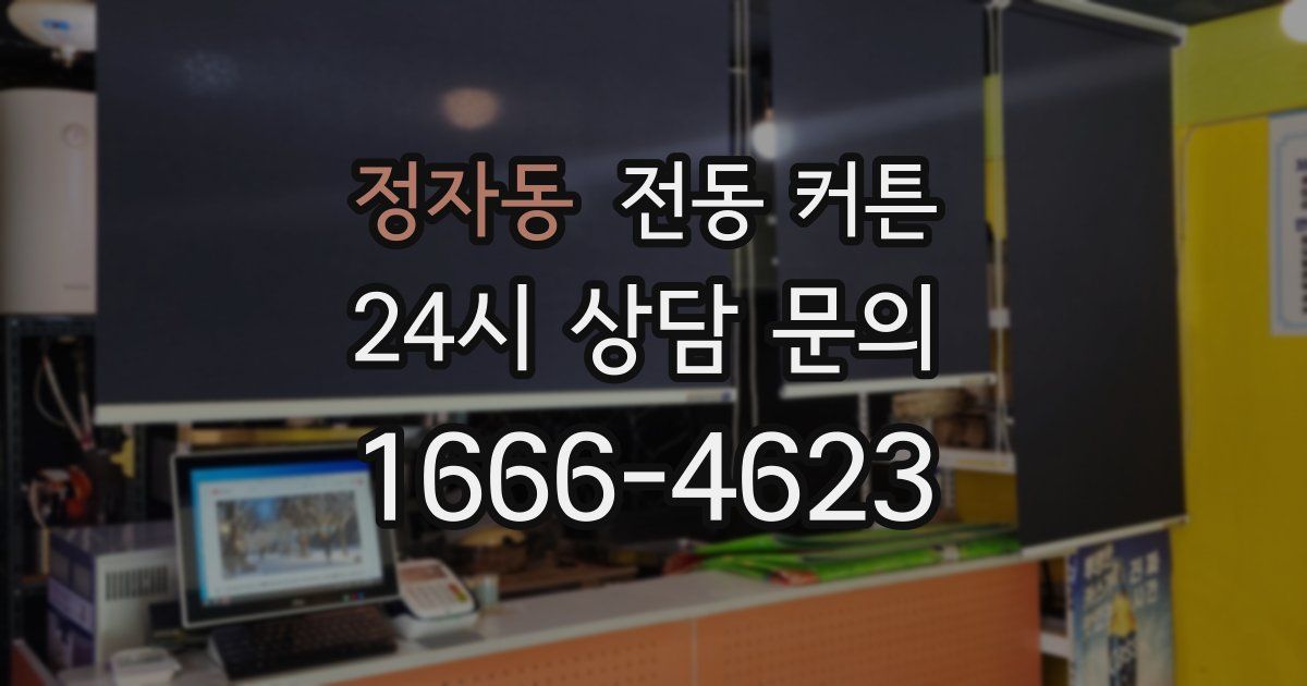 정자동 전동 커튼