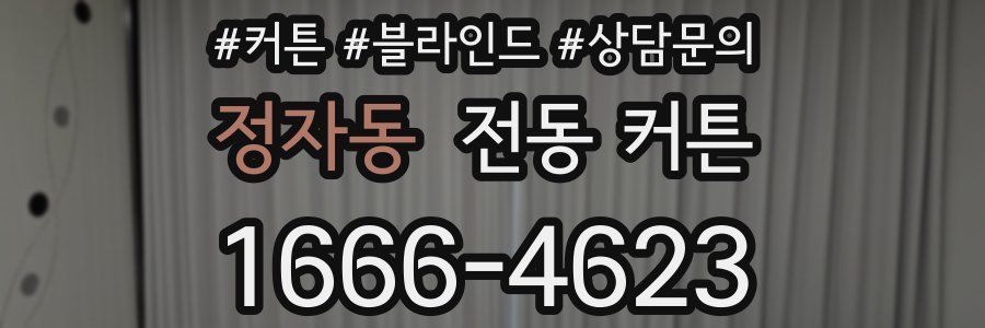 정자동 전동 커튼