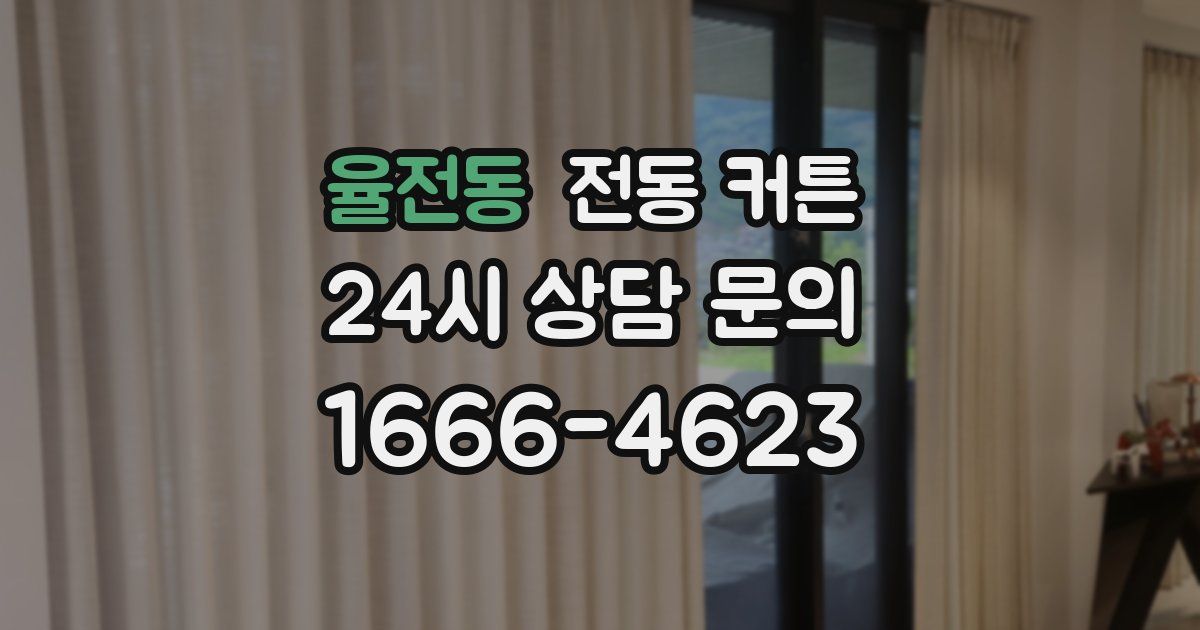 율전동 전동 커튼