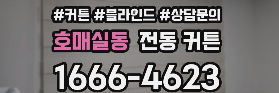 호매실동 전동 커튼