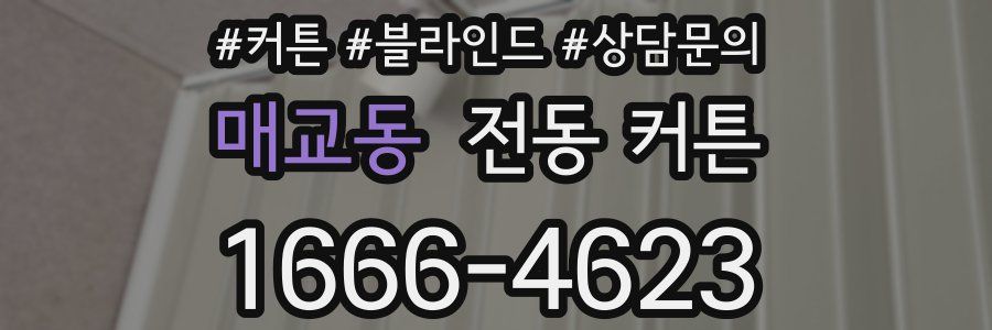 매교동 전동 커튼