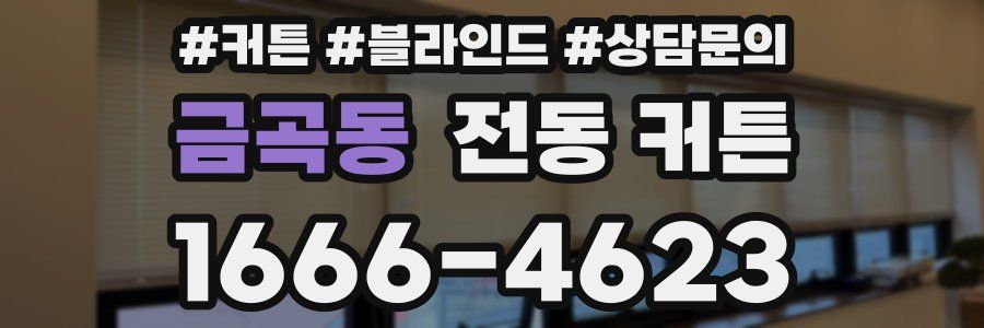 금곡동 전동 커튼