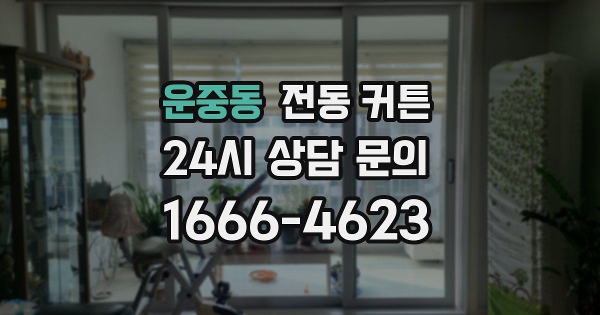 운중동 전동 커튼