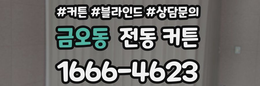 금오동 전동 커튼