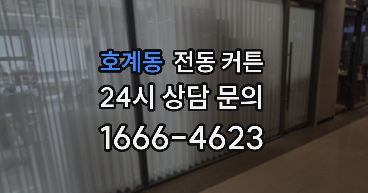 호계동 전동 커튼