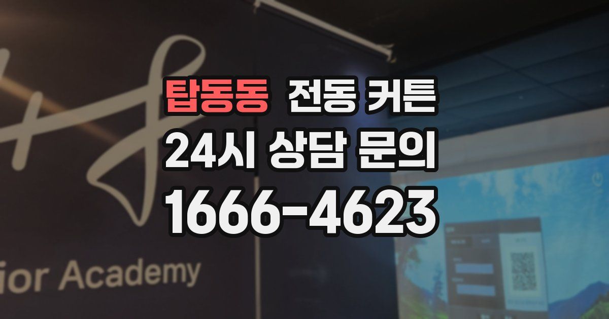 탑동동 전동 커튼