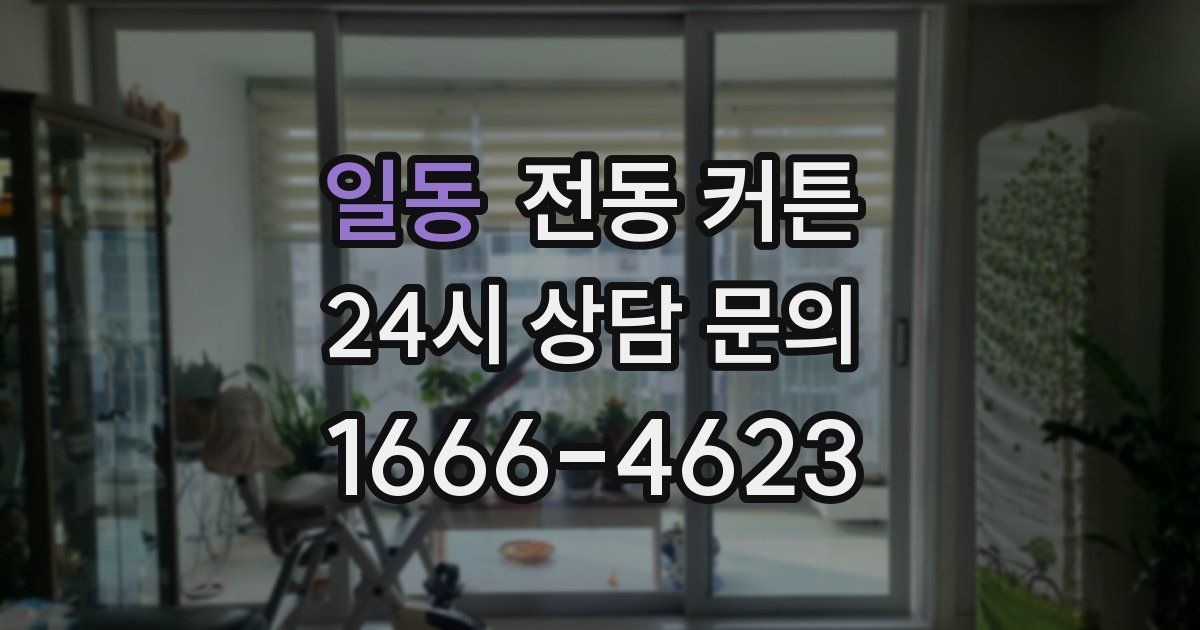 일동 전동 커튼