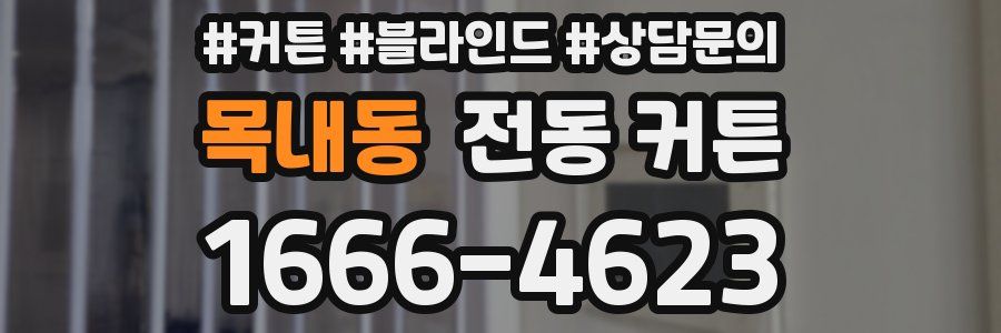 목내동 전동 커튼
