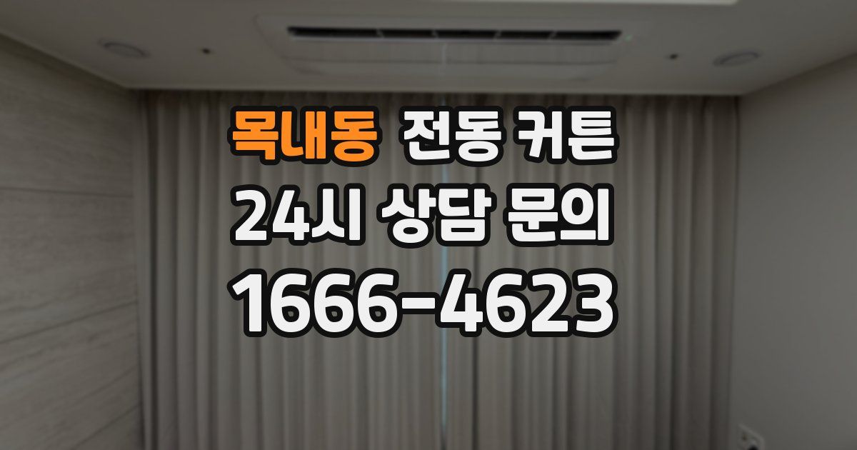 목내동 전동 커튼