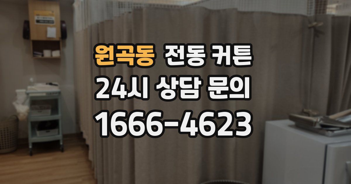 원곡동 전동 커튼