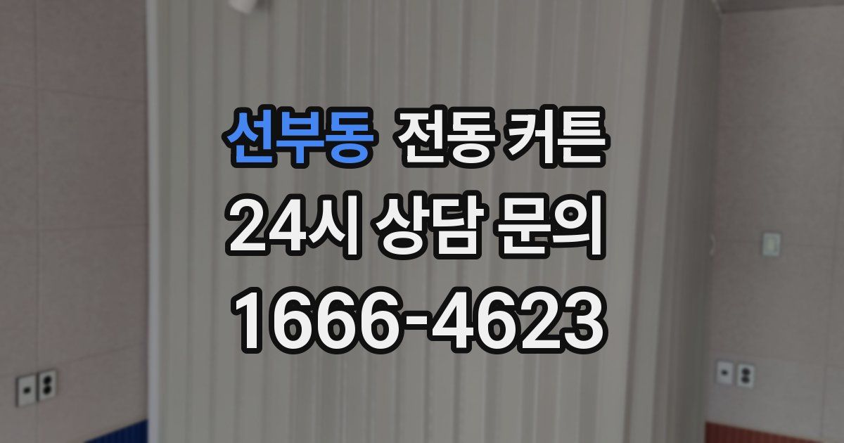 선부동 전동 커튼