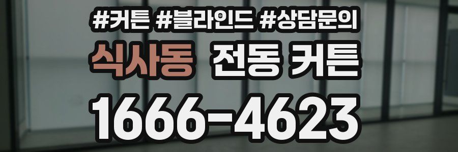 식사동 전동 커튼