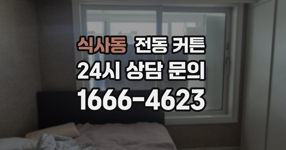 식사동 전동 커튼