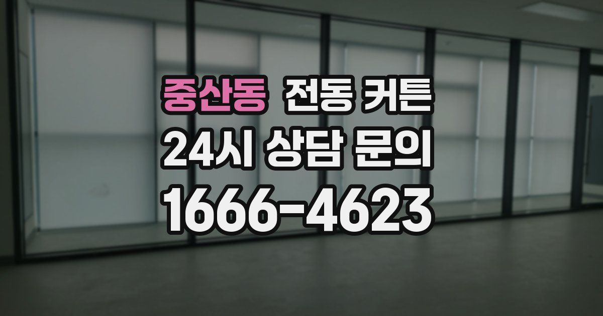 중산동 전동 커튼