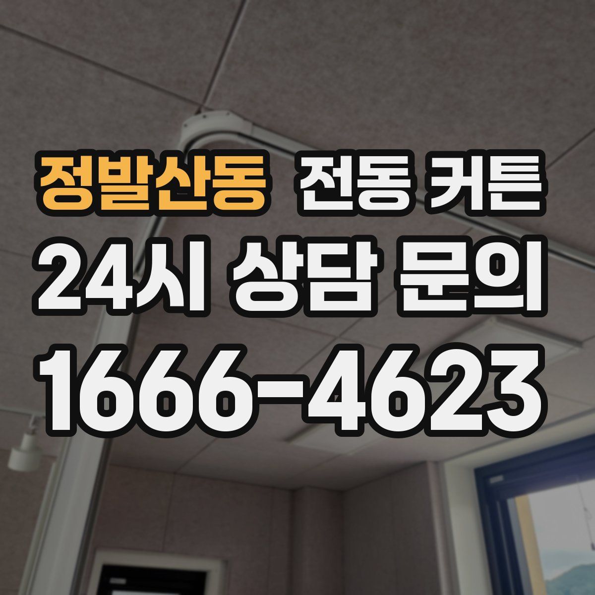 정발산동 전동 커튼