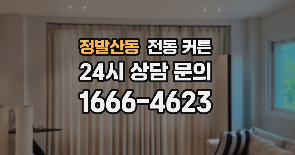 정발산동 전동 커튼