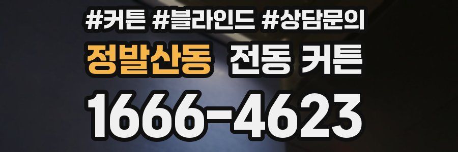 정발산동 전동 커튼