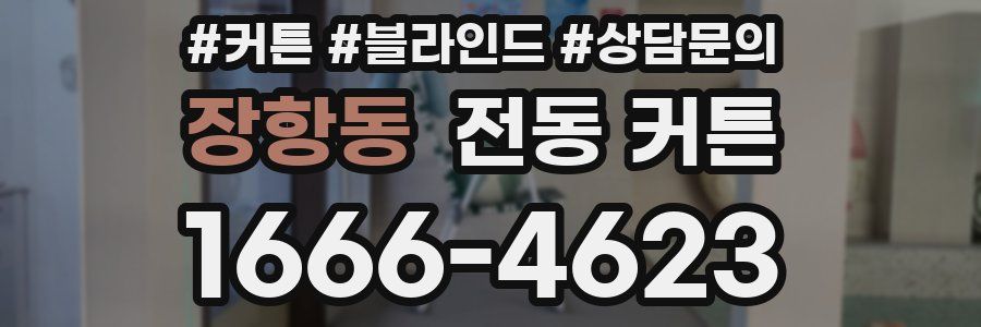 장항동 전동 커튼