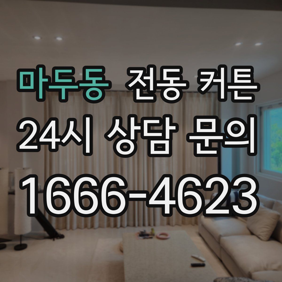 마두동 전동 커튼