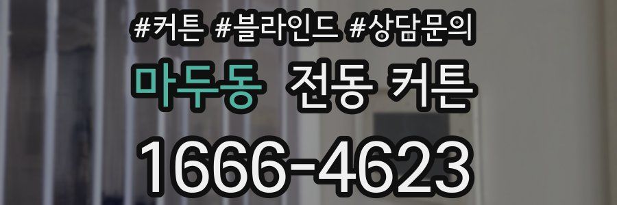 마두동 전동 커튼