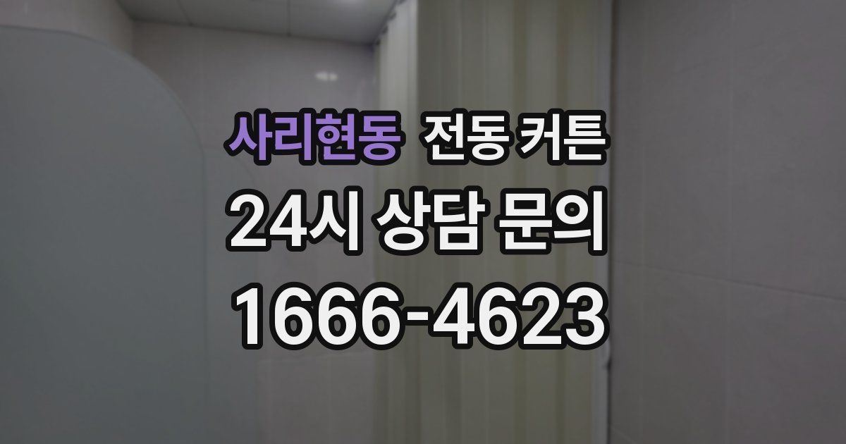 사리현동 전동 커튼