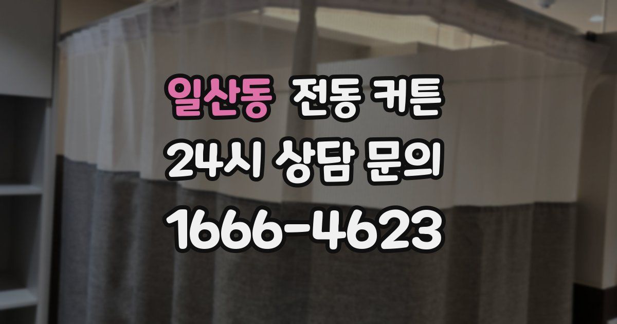 일산동 전동 커튼