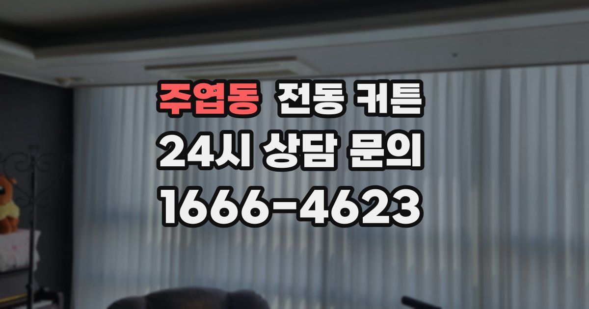 주엽동 전동 커튼