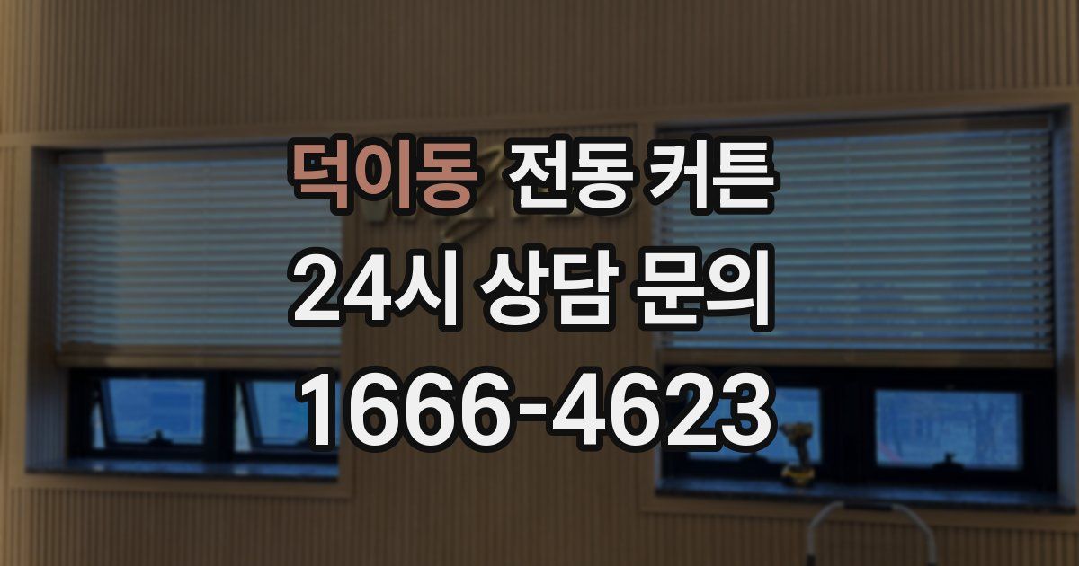 덕이동 전동 커튼