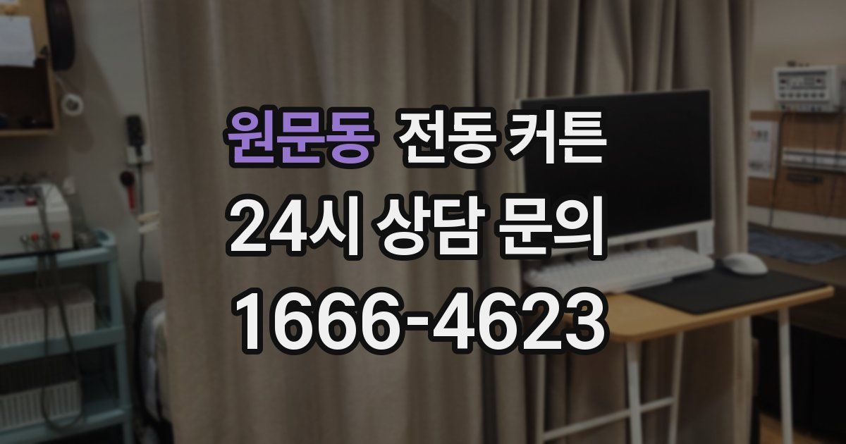 원문동 전동 커튼