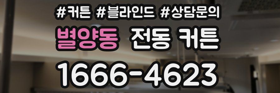 별양동 전동 커튼