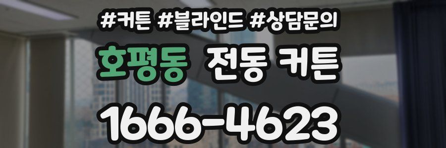 호평동 전동 커튼