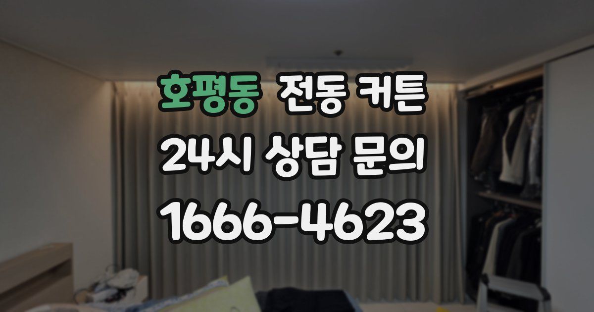 호평동 전동 커튼
