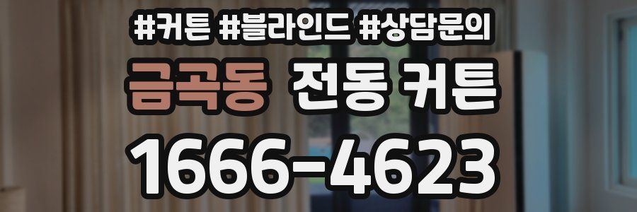금곡동 전동 커튼